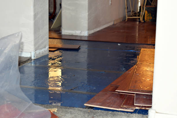 Professional Burst Pipe Cleanup technician working in Lewiston, ID